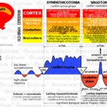 Hamer compass