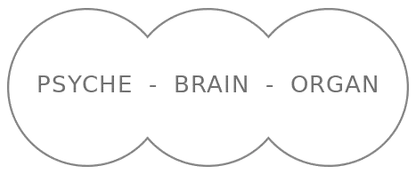 Psyche - Brain - Organ