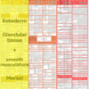 grafik-tabelle-entoderm