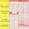 grafik-tabelle-entoderm