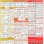 Diagnostics Chart Function Failure