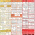 Diagnostics Chart Function Failure