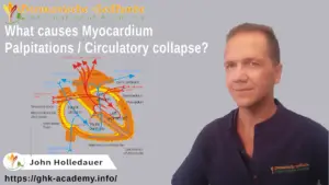 Myocardium