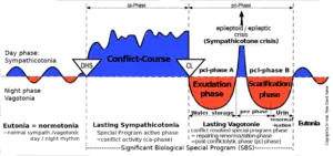 Hamer compass