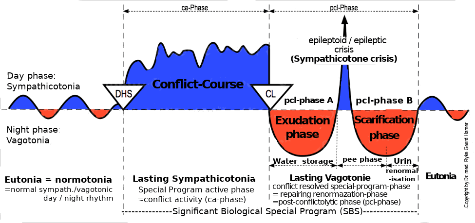 Hamer compass