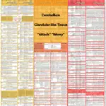 Diagnosis Chart Cerebellum