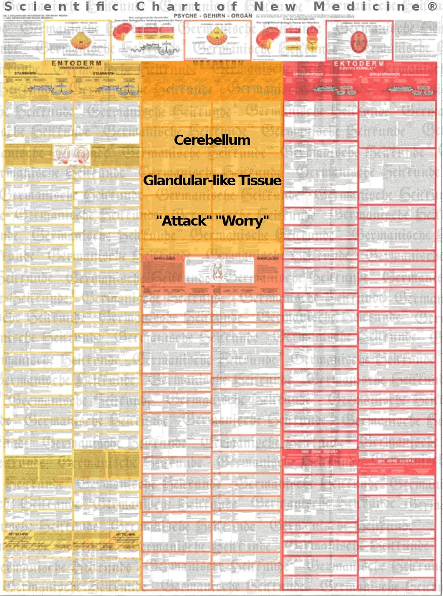 Diagnosis Chart Cerebellum