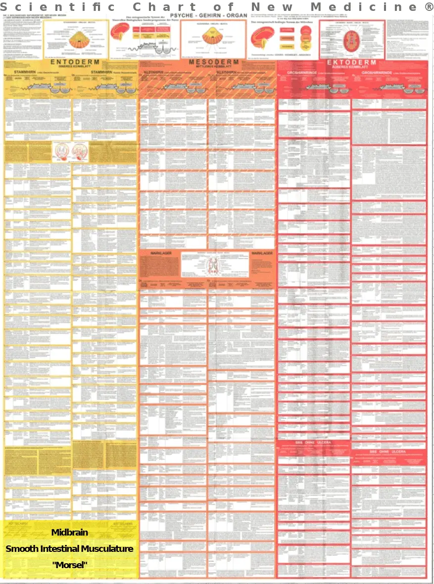 Diagnostics Chart Midbrain