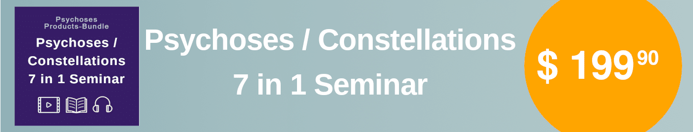 psychosis constellation seminar