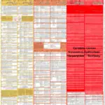 Ektoderm - diagnostic chart cerebral cortex